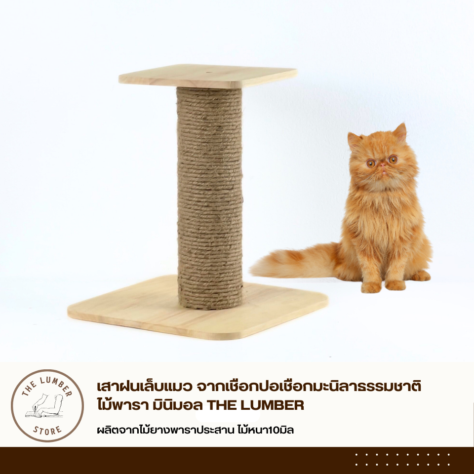 เสาฝนเล็บแมว จากเชือกปอเชือกมะนิลาธรรมชาติ ไม้พารา มินิมอล THE LUMBER