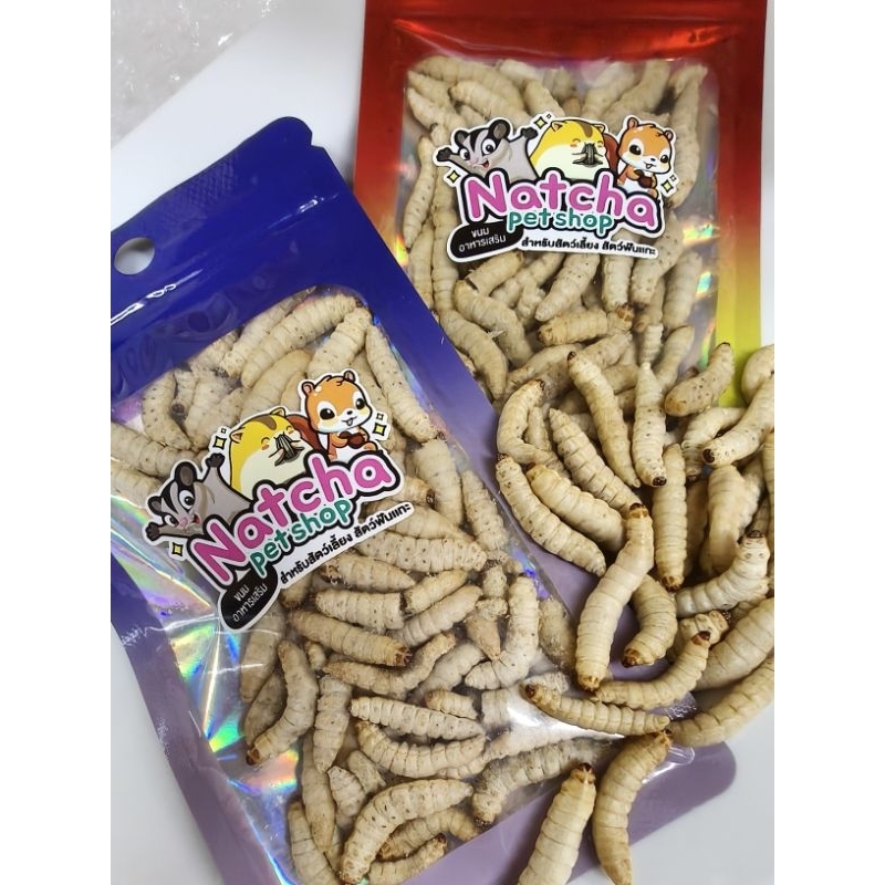 Waxworms Freeze Dried 12g. หนอนเเว็กซ์ฟรีสดราย อาหารชูก้าร์ กระรอก หนูเเฮมสเตอร์ สัตว์เลี้ยงสัตว์ฟันเเทะ
