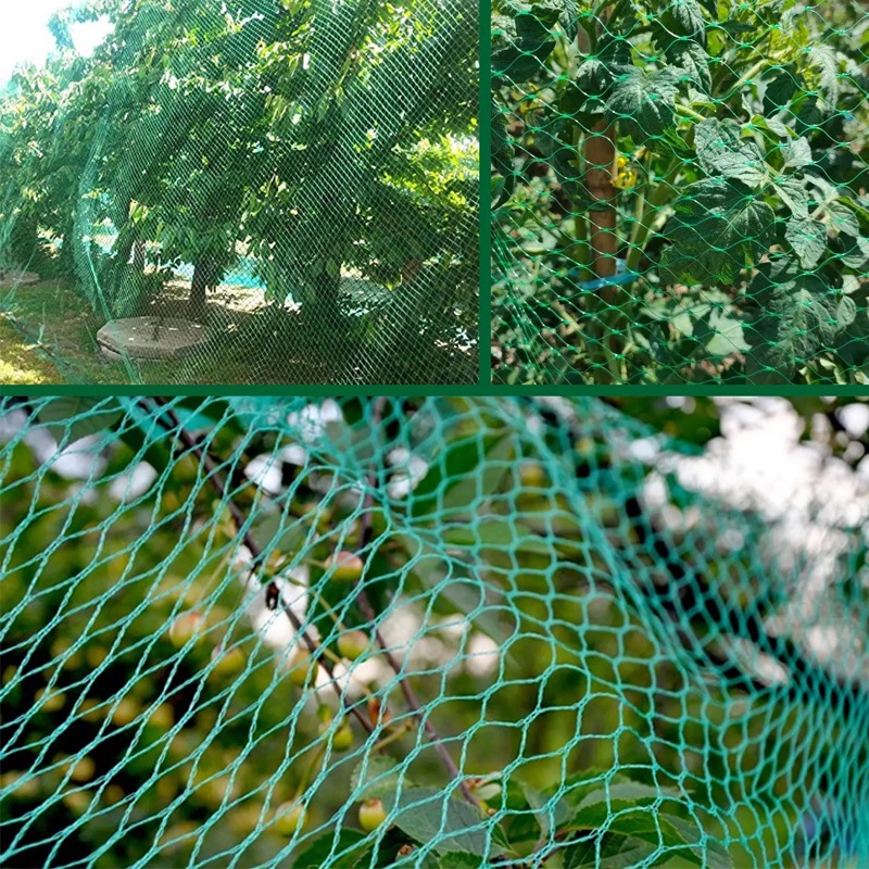 🐦อินทรีก็เกาขาดไม่ได้🦅Bird net ตาข่ายกันนกสีใส ตาข่ายกันนก ตาข่ายกันนกพิราบ 20M กันแดดทนสึกหรอ ทนแก่ลง ตาข่ายเล็ก