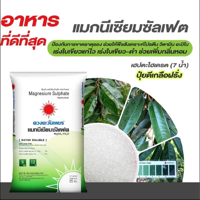 ปุ๋ย Magnesium Sulphate แมกนีเซียมซัลเฟต MgSO4 แบบผงเกล็ดสีขาว ดีเกลือฝรั่ง ดวงตะวันเพชร