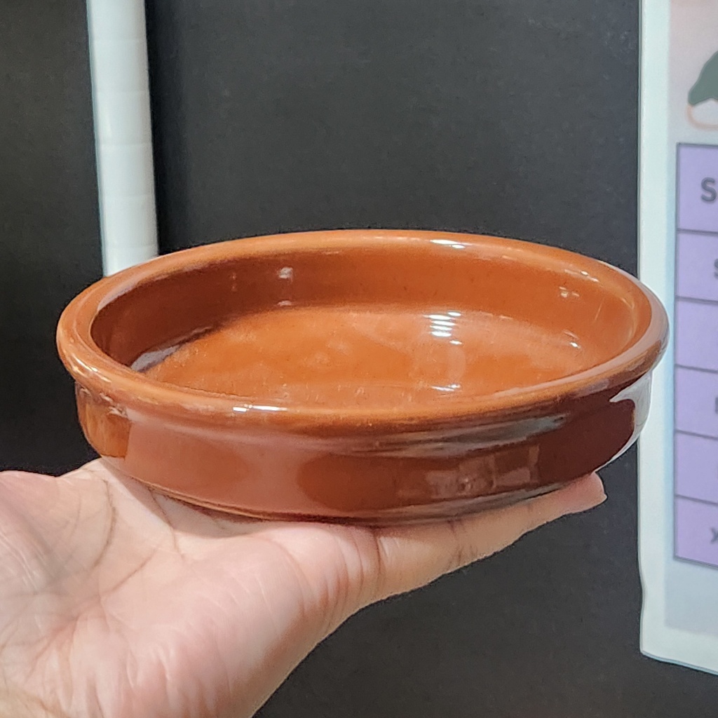 [ส่งด่วน] ถ้วย ชาม ทรงแบน ทรงเตี้ย สีน้ำตาล สำหรับสัตว์เลื้อยคลาน เช่น เต่า เบี๊ยดดราก้อน มีน้ำหนัก