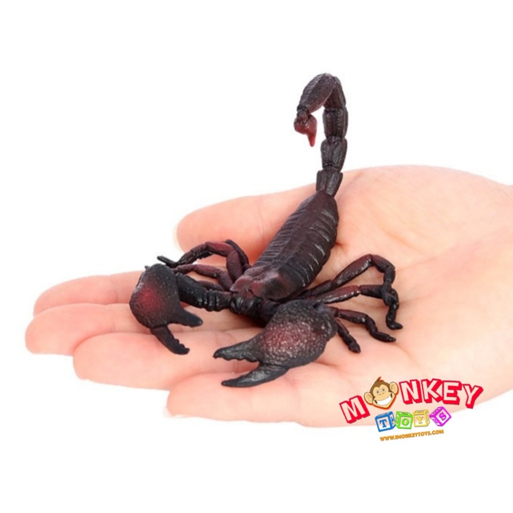 Monkey Toys โมเดลแมลง Scorpion แมงป่อง ดำ ขนาด 9.00 CM (จากหาดใหญ่)