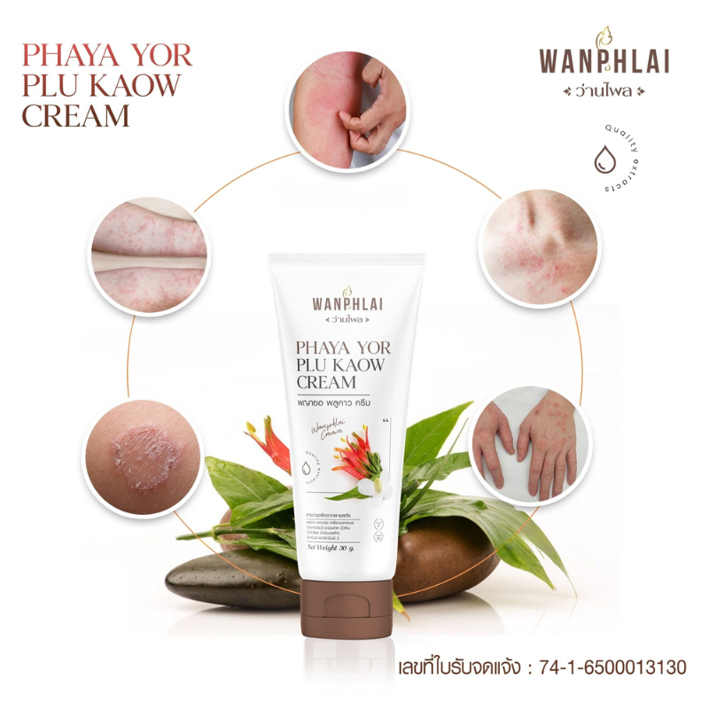 ของแท้ ส่งไว ครีมพญายอพลูคาว สมุนไพรแท้100% ส่งจากบริษัทโดยตรง