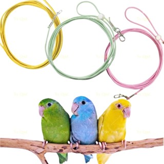 1 เมตร สายจูงนกแบบยืดหยุ่นได้ สายจูงนก แบบยืดหยุ่นได้ เชือกผ…