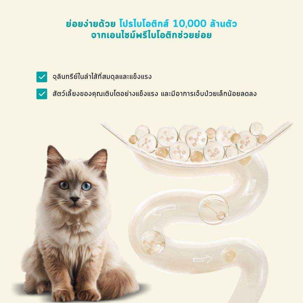 [LIVE] Bite Of Wild F42 ซอง 3กก สูตรปลา 6 ชนิด ปราศจากธัญพืช สำหรับแมวทุกช่วงวัย - รูปที่ 4