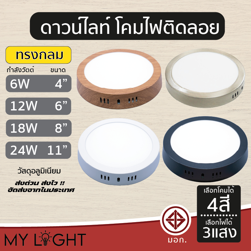 ดาวไลท์ติดลอย ดาวไลท์ LED ทรงกลม 6W 9W 12W 18W 24W ขนาด 4นิ้ว 6นิ้ว 8นิ้ว 11นิ้ว 4สี สีดำ สีขาว สีเงิน สีไม้
