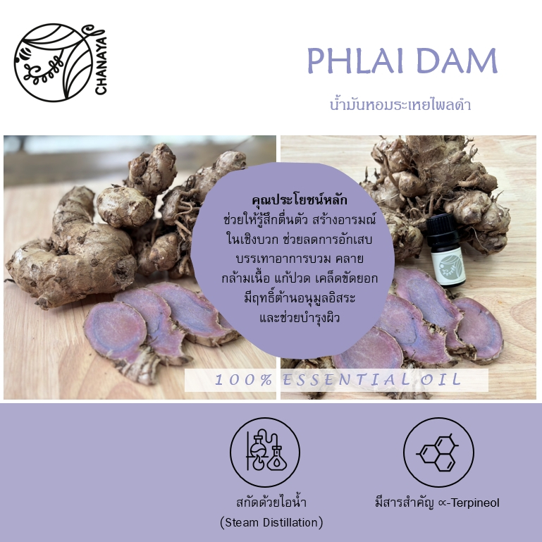 น้ำมันหอมระเหยไพลดำ ชานาญา CHANAYA Phlai Dam 100% Essential Oil