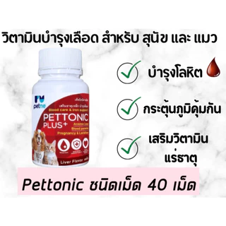 Pettonic Plus ชนิดเม็ด อาหารเสริมบำรุงเลือด ธาตุเหล็ก สุนัขและแมว สูตรสัตวแพทย์ 1 กระปุก มี 40 เม็ด