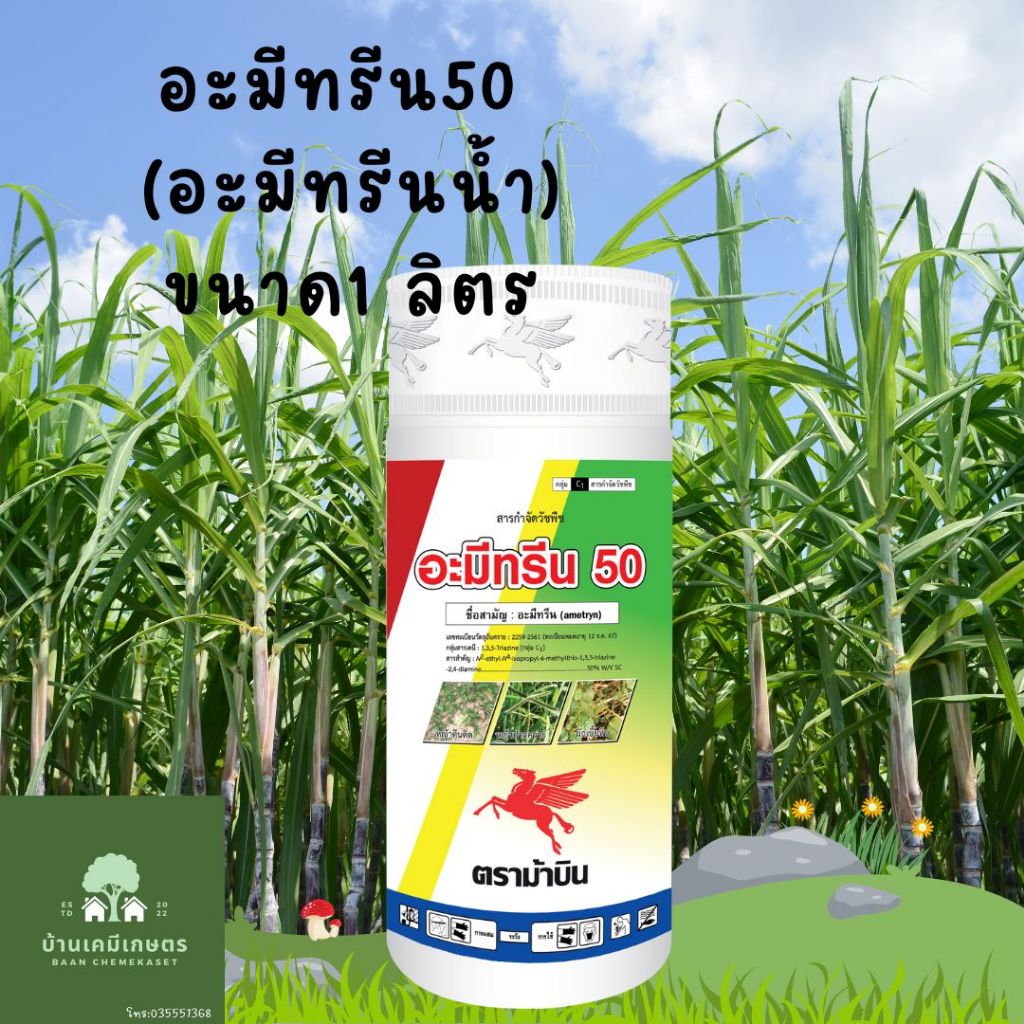 อะมีทรีน 50 อะมีทรีนสูตรน้ำ อะมีทรีนน้ำ