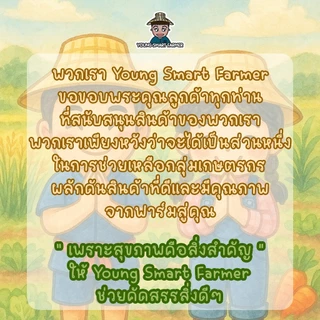 สตรอเบอร์รี่ สตอเบอร์รี่ สตอเบอรี่ สตรอว์เบอร์รี อบแห้ง เกรดAAA 500g(Strawberry)