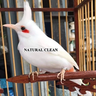 ์Natural Clean ตะไคร้หอมผสมยูคาลิปตัสออแกนิคอาบน้ำนก ทำความสะอาดขน ไล่ไร หมัด / น้ำยาถูพื้น ตะไคร้หอม ยูคาลิปตัส ไล่แมลง