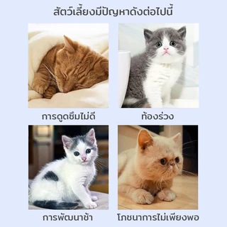 🔥นมผงแกะ🔥เหมาะสำหรับสุนัขและแมว เสริมสร้างสมรรถภาพทางกาย อุดมไปด้วยสารอาหาร ช่วยเติบโต 300g Safe goat milk