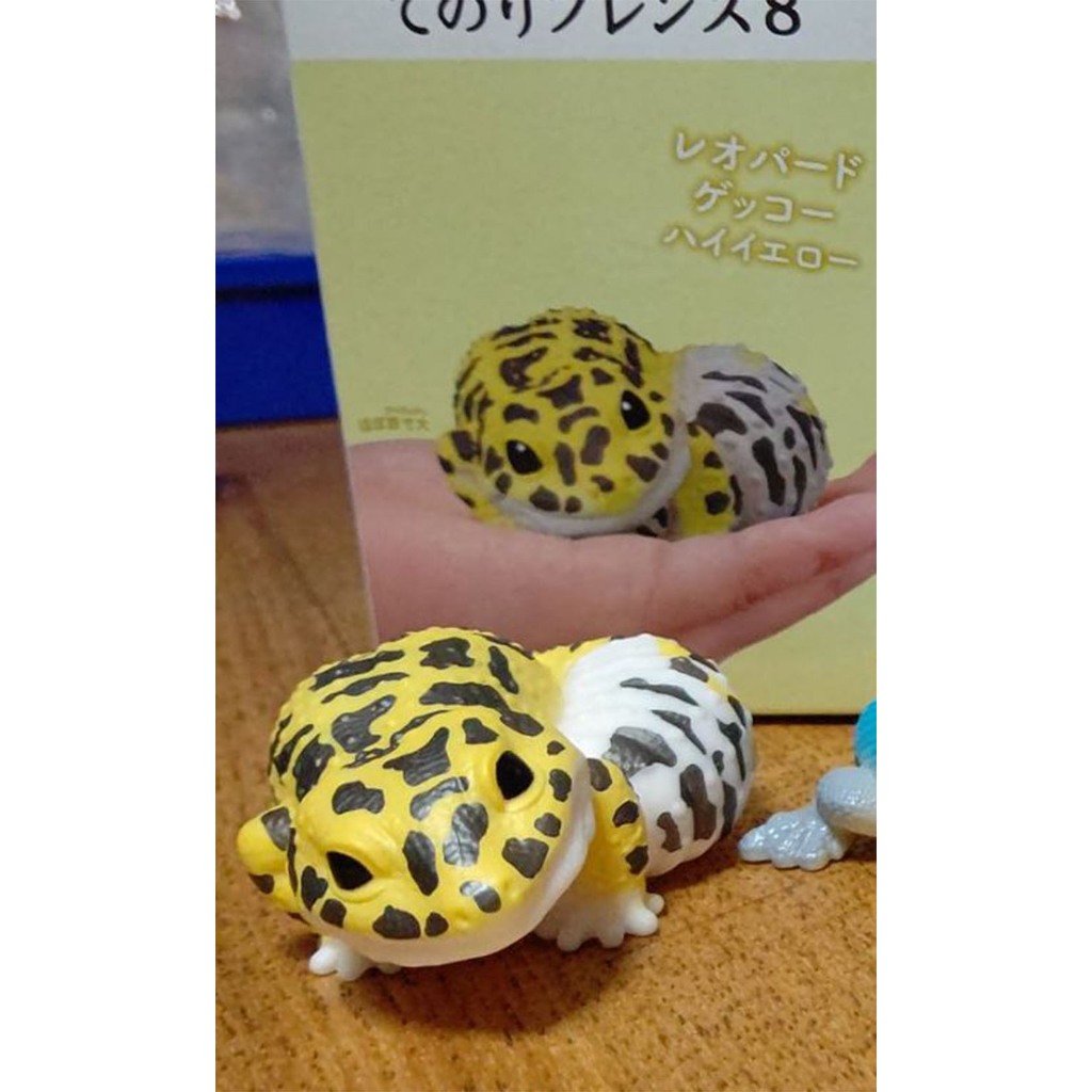 Leopard Gecko High Yellow Bandai Tenori Friends 8 โมเดล ตุ๊กแก