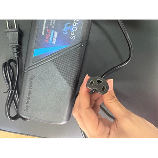 สายชาร์จรถไฟฟ้าLion Sagasonic 3ล้อไฟฟ้า 48V 20AH สายชาร์จสามล้อไฟฟ้า สายชาร์จแบตเตอรี่