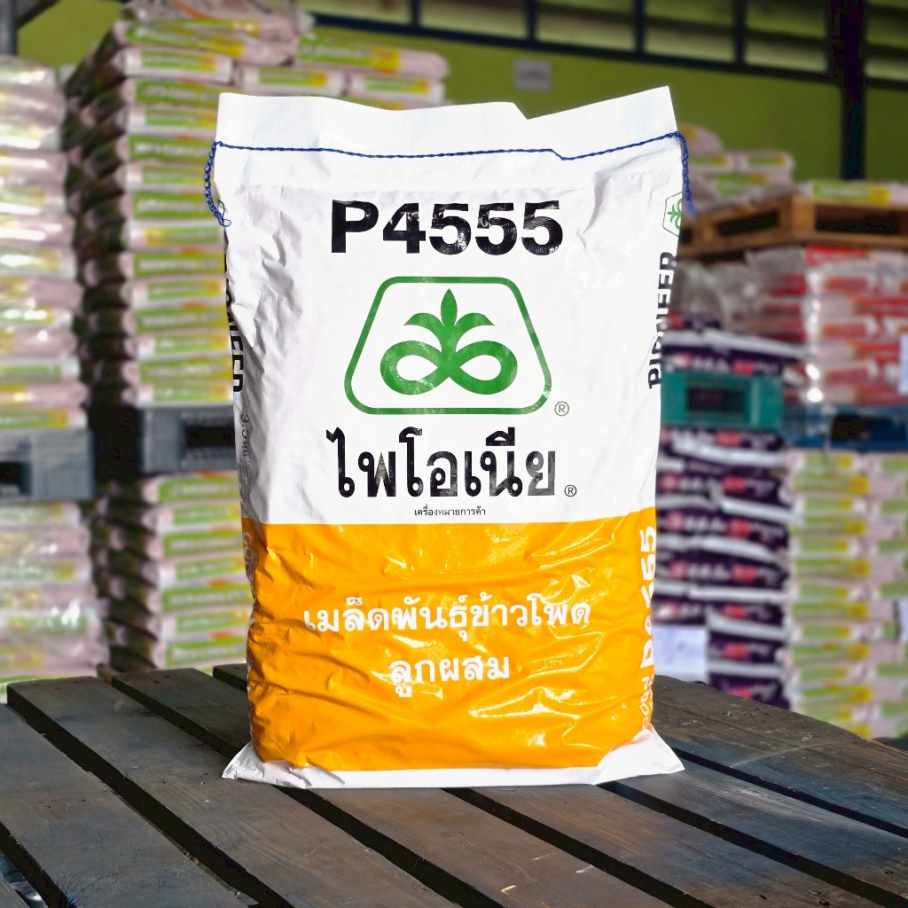 เมล็ดข้าวโพดไพโอเนีย  P4555 3.5 หุน 10 kg.