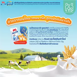 นม NutriCal นิวทริแคล เครื่องดื่มสูตรโปรตีนนมและโปรตีนข้าว ผสมวิตามินและแร่ธาตุ (ตราไทย-เดนมาร์ค) 12 กล่อง