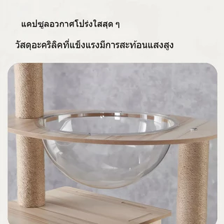 CoCo.petมีอ่างล้างจานใสและอ่างล้างจานใสเตียงแมวและบ้านแมว เฟอร์นิเจอร์แมว, ที่ขูดกรงเล็บแมว, ที่ขูดเล็บ, โครงปีนเขา