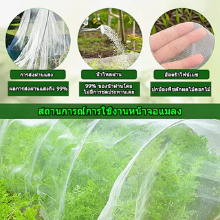 *ค่าส่งถูก* ตาข่ายกันแมลง มุ้งขาวกันแมลง มุ้งตั๊กแตน ตาข่ายขาว32/40/60ตา มุ้งเลี้ยงตั๊กแตน มุ้งปลูกผัก มุ้งสีขาว