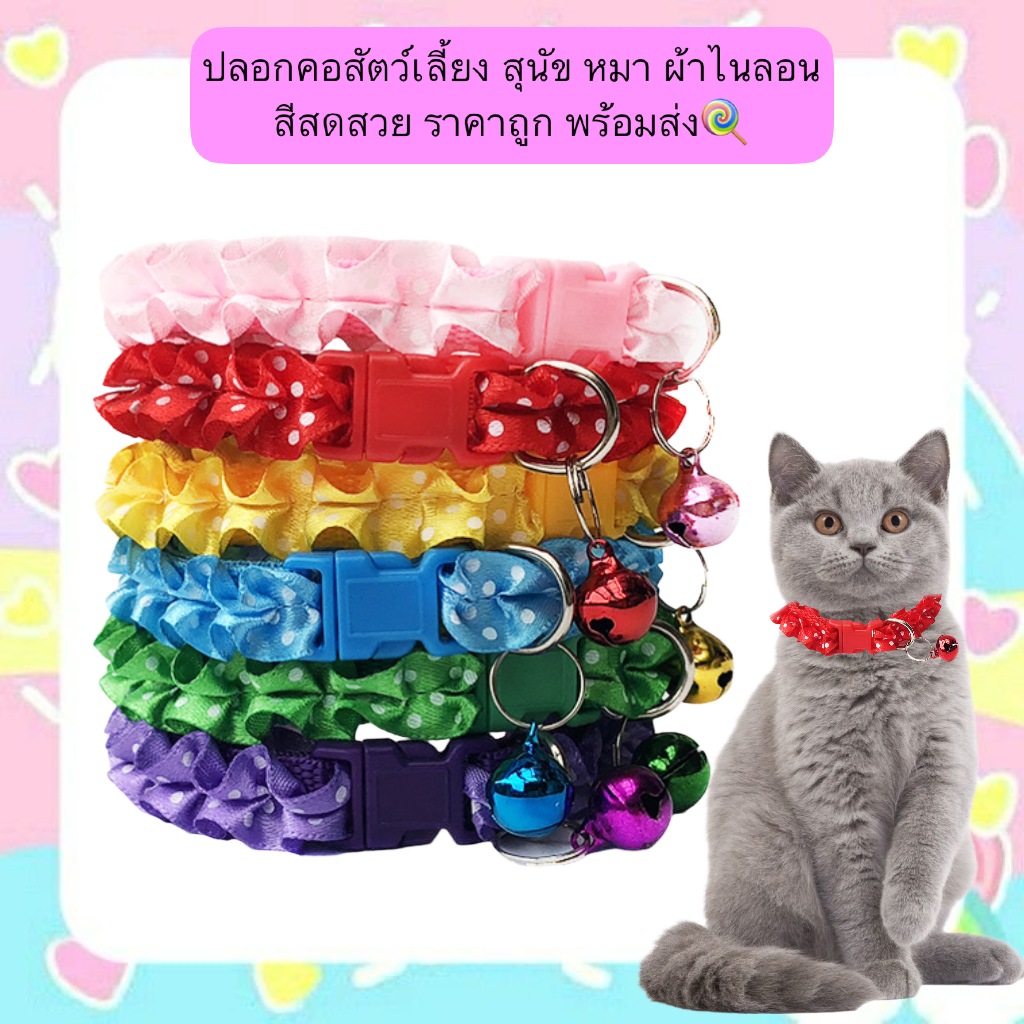 PP-555 ปลอกคอสัตว์เลี้ยง สุนัข หมา ผ้าไนลอน สีสดใส ดีไซน์น่ารัก ราคาสุดคุ้ม พร้อมส่ง!🍭