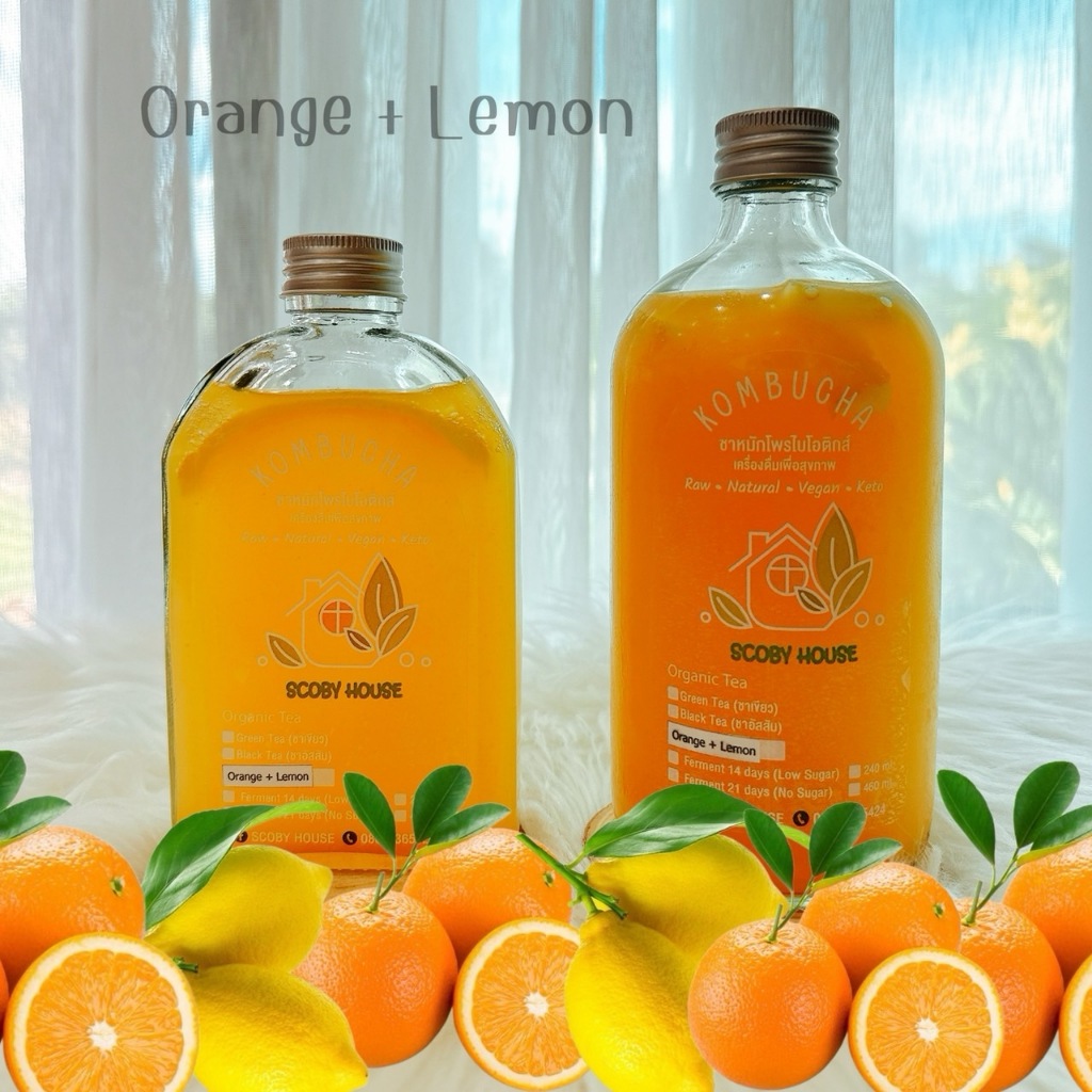 Kombucha คอมบูชา คอมบูชะ ชาหมักออร์แกนิค หวานน้อย น้ำตาลต่ำ พร้อมดื่มในขวดแก้ว หลายรสชาติ Keto Vegan - รูปที่ 2