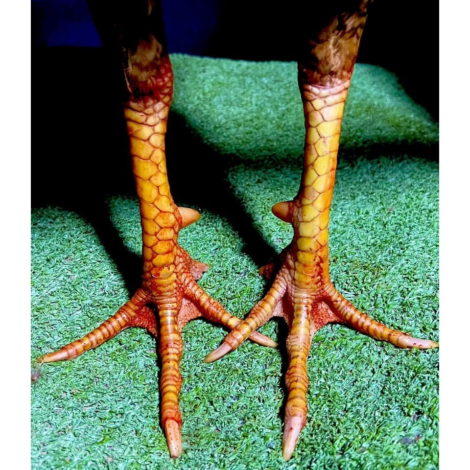 รูปภาพ 5