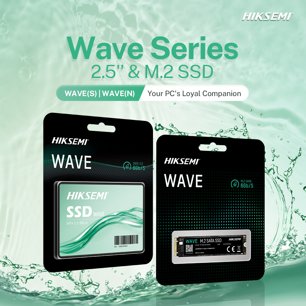 HIKSEMI WAVE[S] 256GB SATA III 6GB/S : HS-SSD-WAVE[S] 256G SSD