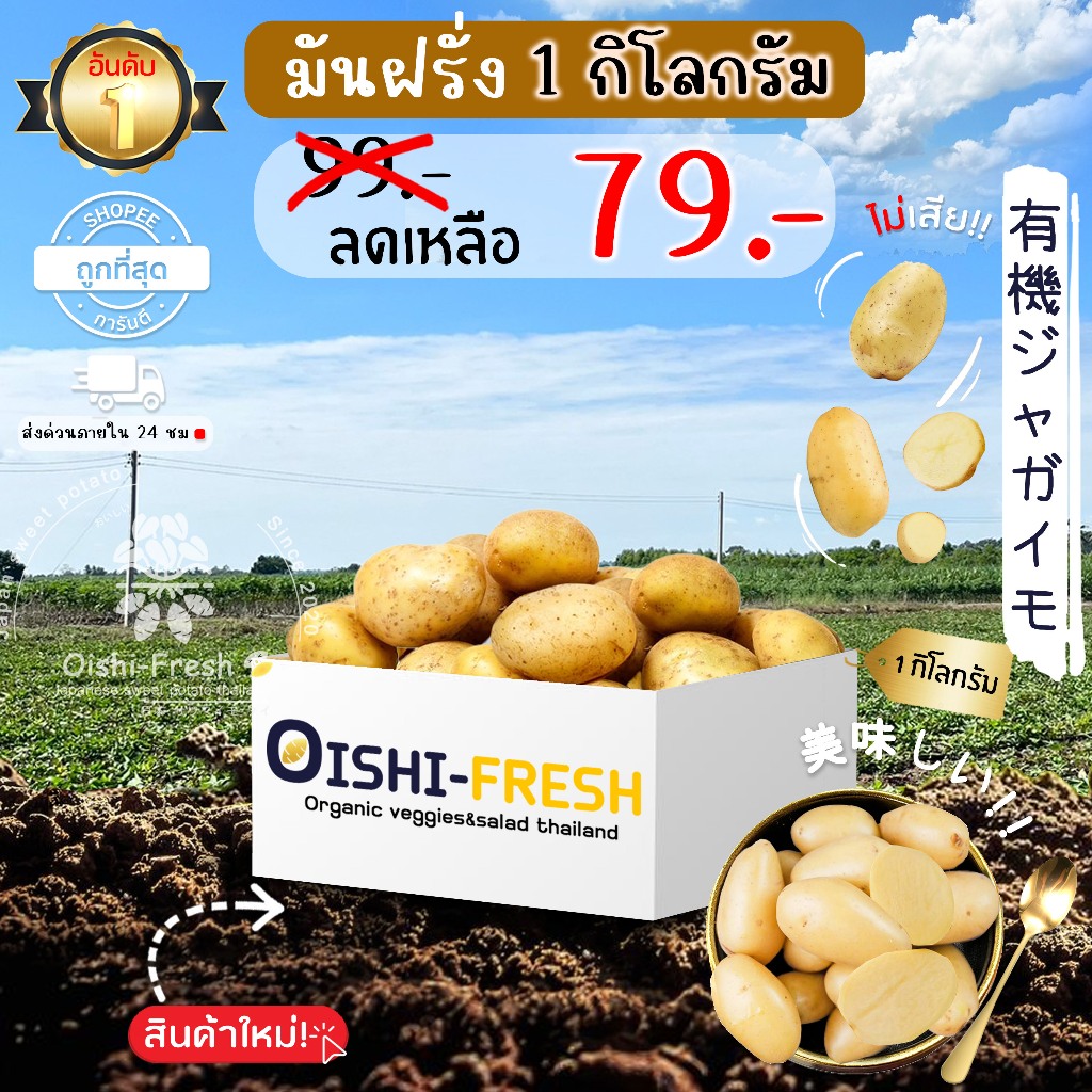 🛒สั่งรวมได้🥔มันฝรั่ง ปลอดสารพิษ 1 กก. รสชาติกรอบ สด ใหม่ ใยอาหารสูง หวานออร์แกนิค เคลมได้ 1-2 วัน