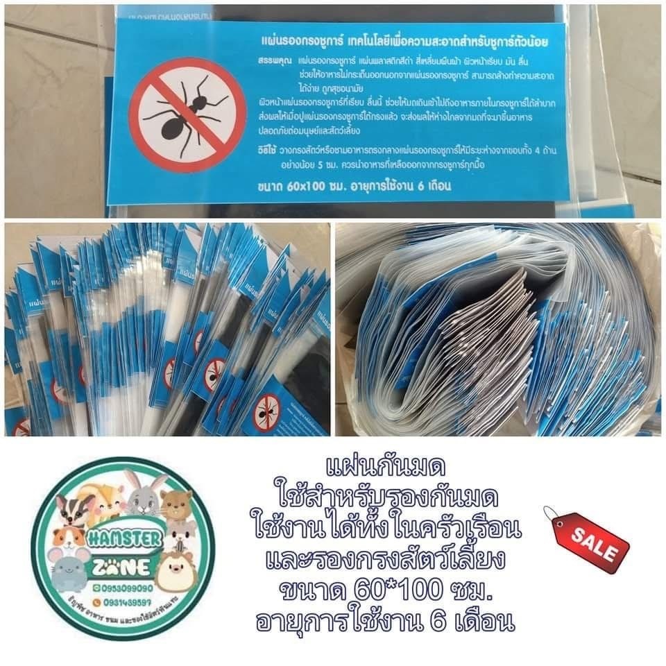 รูปภาพ 2