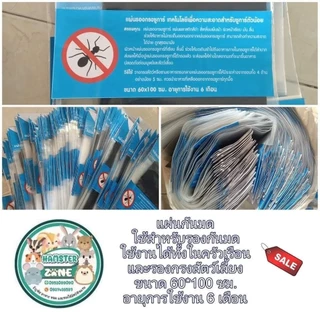 รุ่นใหม่มีชอล์กกันมดแถม **แผ่นรองกรงกันมด ขนาด 60x100 ซม รองกรงสัตว์เลี้ยง รองโต๊ะทานข้าว ปลอดภัยทั้งคนและสัตว์เลี้ยง