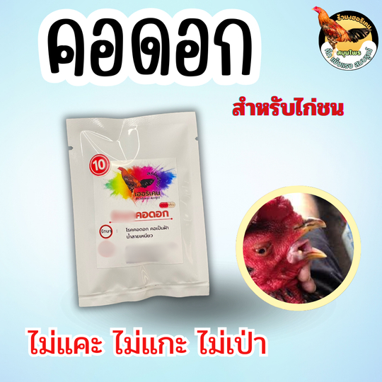 คอดอกไก่ เฮอริเคนไก่ชน ไม่ต้องแคะ ไม่ต้องแกะ ไม่ต้องใช้ยาเป่า