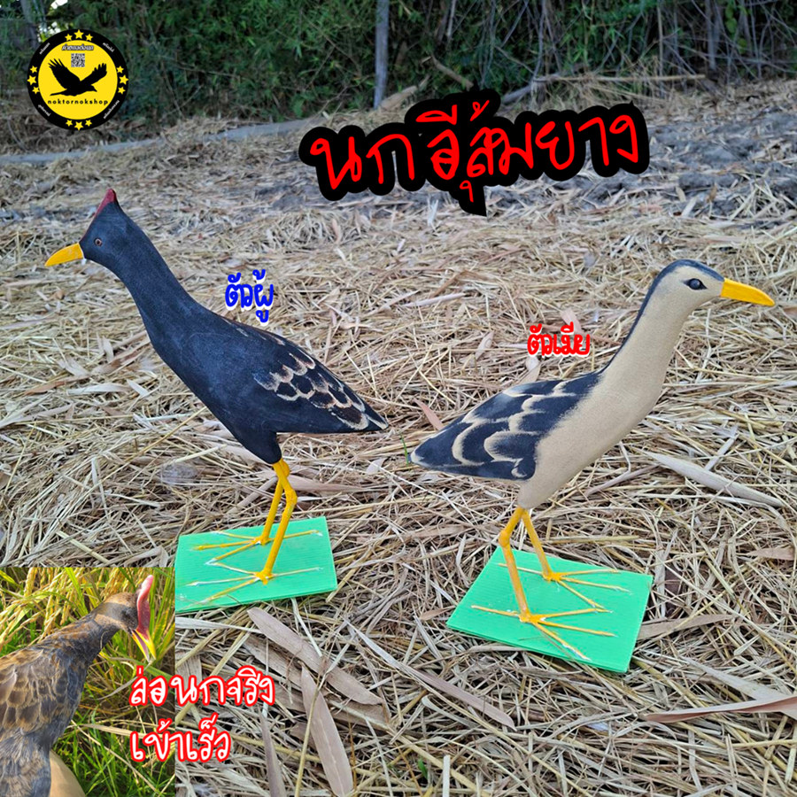 หุ่นนกอีลุ้มยาง หุ่นนกปลอม ตัวผู้ /ตัวเมีย ทรงยืนหุบปีก ทำจากยางEVA เหนียวทนทาน ใช้สำหรับต่อนกจริง