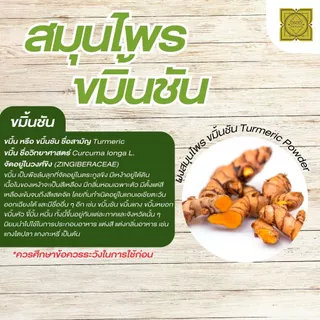 ผงขมิ้นชัน (Turmeric Powder) ขนาด 500 1000 กรัม ขมิ้นชัน บดละเอียด สมุนไพร แท้ 100%
