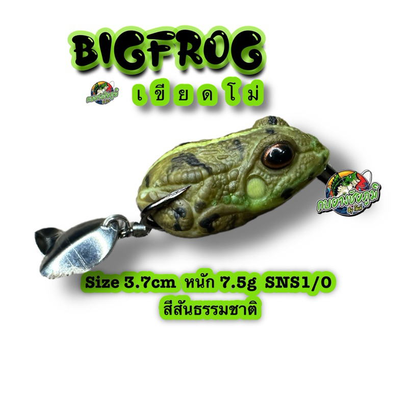 กบยาง  Bigfrog (เขียดโม่)