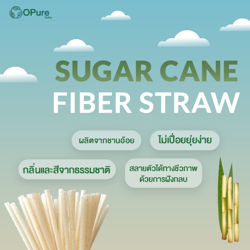 (100 เส้น) หลอดตรงชานอ้อย โอเพียว 6 มิล ยาว 21 ซม. *ห่อกระดาษ OPure หลอดรักษ์โลก ย่อยสลาย (ขายแพ็ค) รูปที่ 5