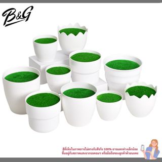 กระถางดอกไม้เล็ก แจกันจิ๋ว พลาสติก  ใช้ใส่ดอกไม้ ของประดับตก…