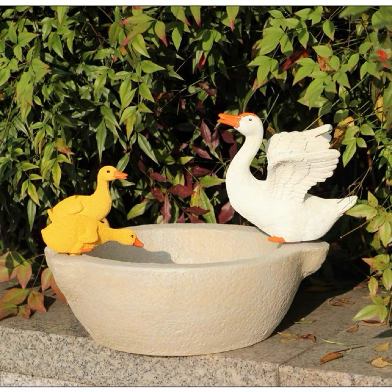Decorative garden duck pond  อ่างเป็ดตกแต่งสวน  เพิ่มชีวิตชีวาให้สวนของคุณ ด้วยเป็ดตัวจิ๋วสุดน่ารัก  . ราคา ถูกที่สุด ดีลบีเคเค แกลเลอรีภาพที่ 2