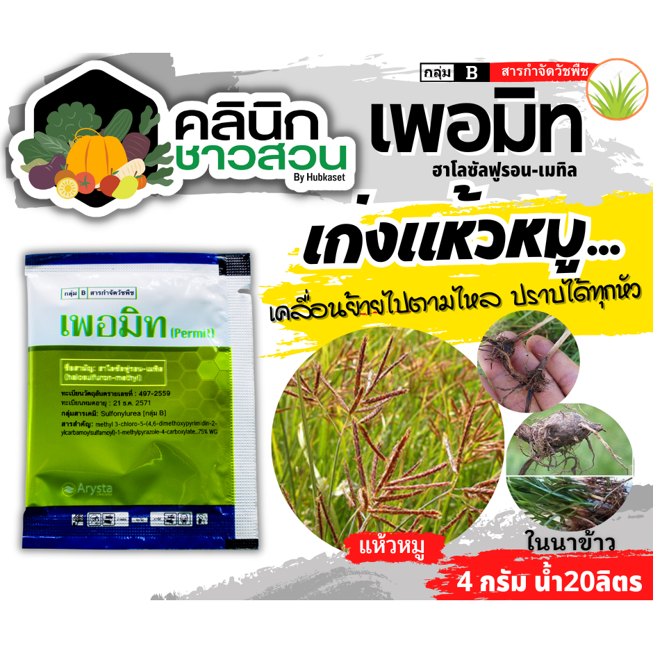 🥬 เพอมิท (ฮาโลซัลฟูรอน-เมทิล) บรรจุ 4กรัม ใช้หลังวัชพืชงอกในอ้อย เพื่อกำจัดวัชพืชประเภทกก เช่น แห้วหมู