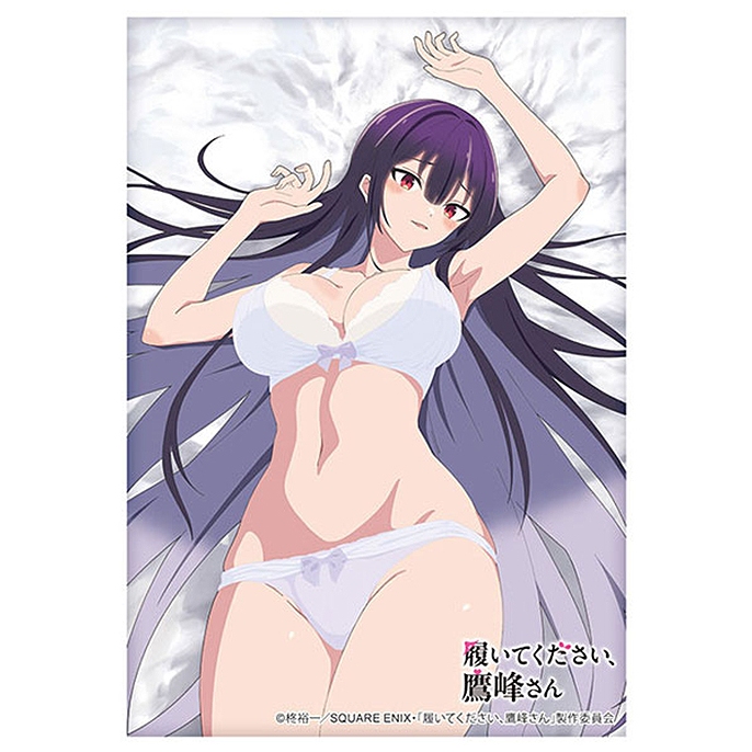 Bushiroad Sleeve HG Vol.4837 TV Anime Please Put Them On, Takamine-san [Takane Takamine] Underwear V