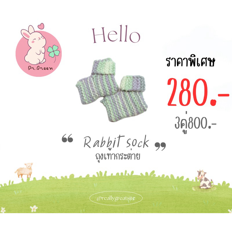 ถุงเท้ากระต่าย ถุงเท้าสำหรับกระต่าย (ช่วยรักษาฝ่าเท่าอักเสบ) 280 บาทโปรโมชั่น ❗️  3 คู่ 800 บาท Rabbit socks คละสี