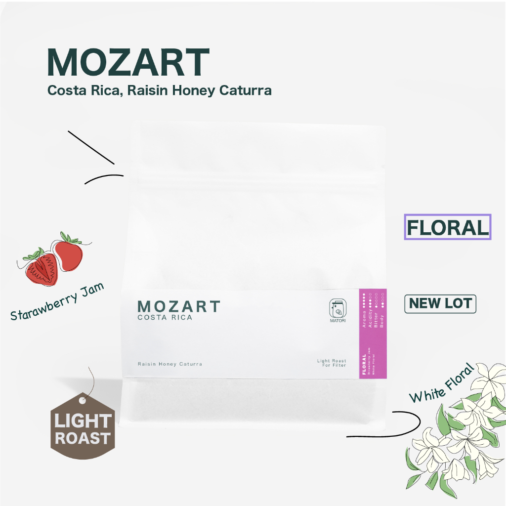 Matori Coffee Roaster เมล็ดกาแฟคั่วอ่อน Costa Rica, Mozart Raisin Honey