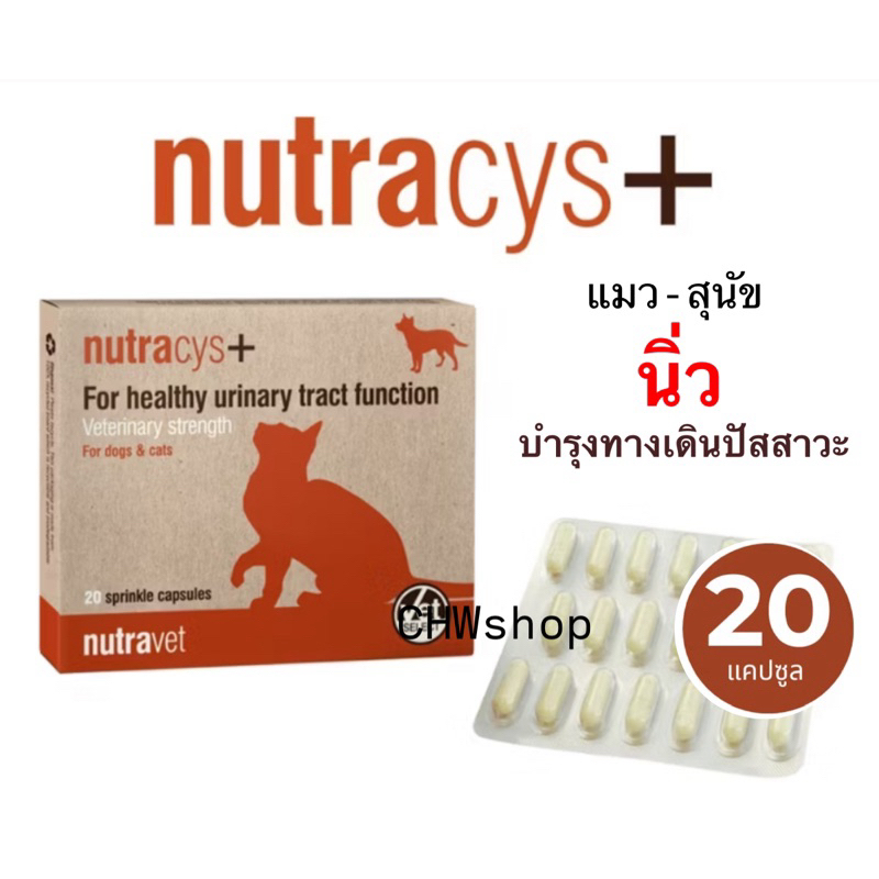 Nutracys+ [แท้💯] *มีแบ่งขาย* อาหารเสริมดูแลระบบทางเดินปัสสาวะ สำหรับสุนัขและแมว 20 เม็ด