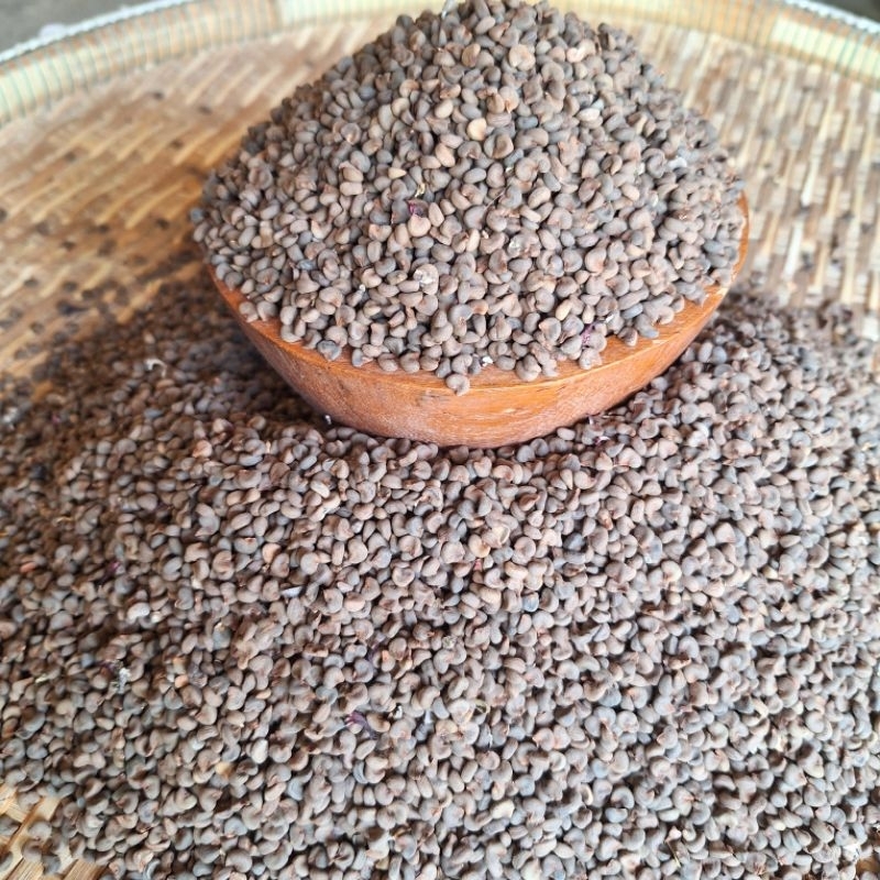 เมล็ดกระเจี๊ยบแดงพันธุ์ซูดานอัตราการสูงมากถึง90เปอร์เซ็น ขนาดบรรจุ500กรัม