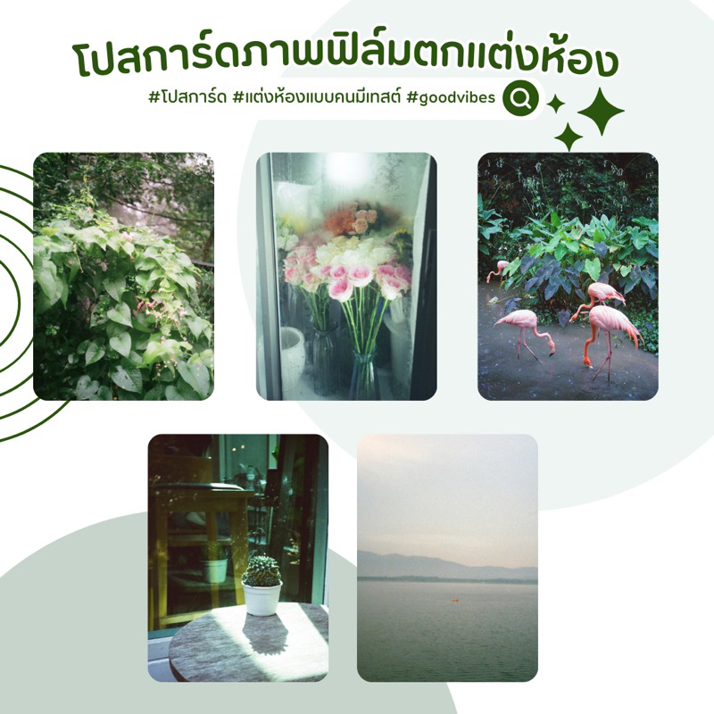 โปสการ์ดภาพฟิล์ม ตกแต่งห้อง (แนวธรรมชาติ) ขนาด 4*6 นิ้ว | Vintage postcard for room decoration (Nature)