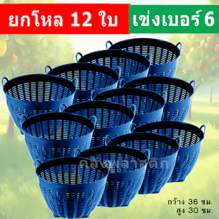 (ยกโหล12ใบ) เข่งพลาสติก เบอร์6 - ใช้เป็นกระถางต้นไม้ ปลูกต้นไม้ - 0280