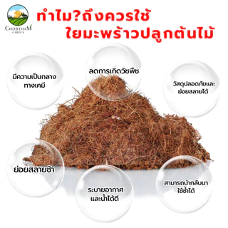 กาบมะพร้าวสับอัดก้อน 500 กรัม ขุยมะพร้าวอัดก้อน ใยมะพร้าวอัดก้อน วัสดุปลูกต้นไม้