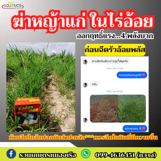 รัวอ้อยพลัส โฉมใหม่ (โปรโมชั่น) สูตรอัพเกรดเพิ่มจำนวนยาในชุด มีถึง 4 ตัว ออกฤกธิ์เร็วแรง ครบจบชุดนี้