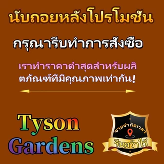 ถุงปลูก100ใบ ราคาถูก กระถางเพาะกล้า ถุงเพาะกล้า ต้นกล้า การปลูกต้นกล้า ปลูกต้นไม้