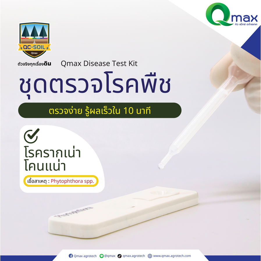 Qmax DTK -ชุดตรวจโรคไฟทอปฯ