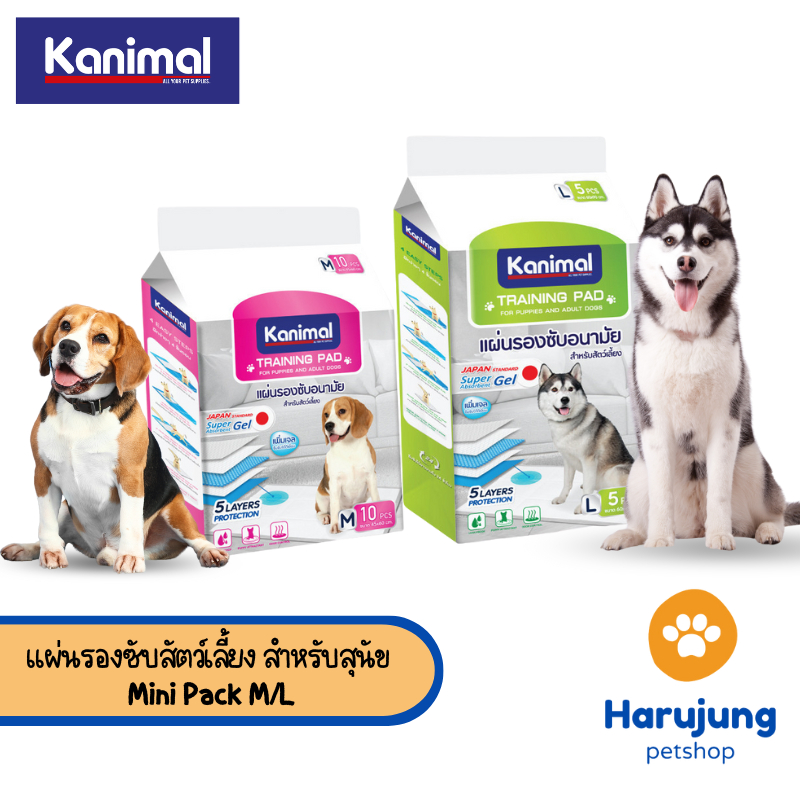 Kanimal Training Pad แผ่นรองฉี่สุนัข แผ่นรองซับสัตว์เลี้ยง สำหรับสุนัข Mini Pack M/L