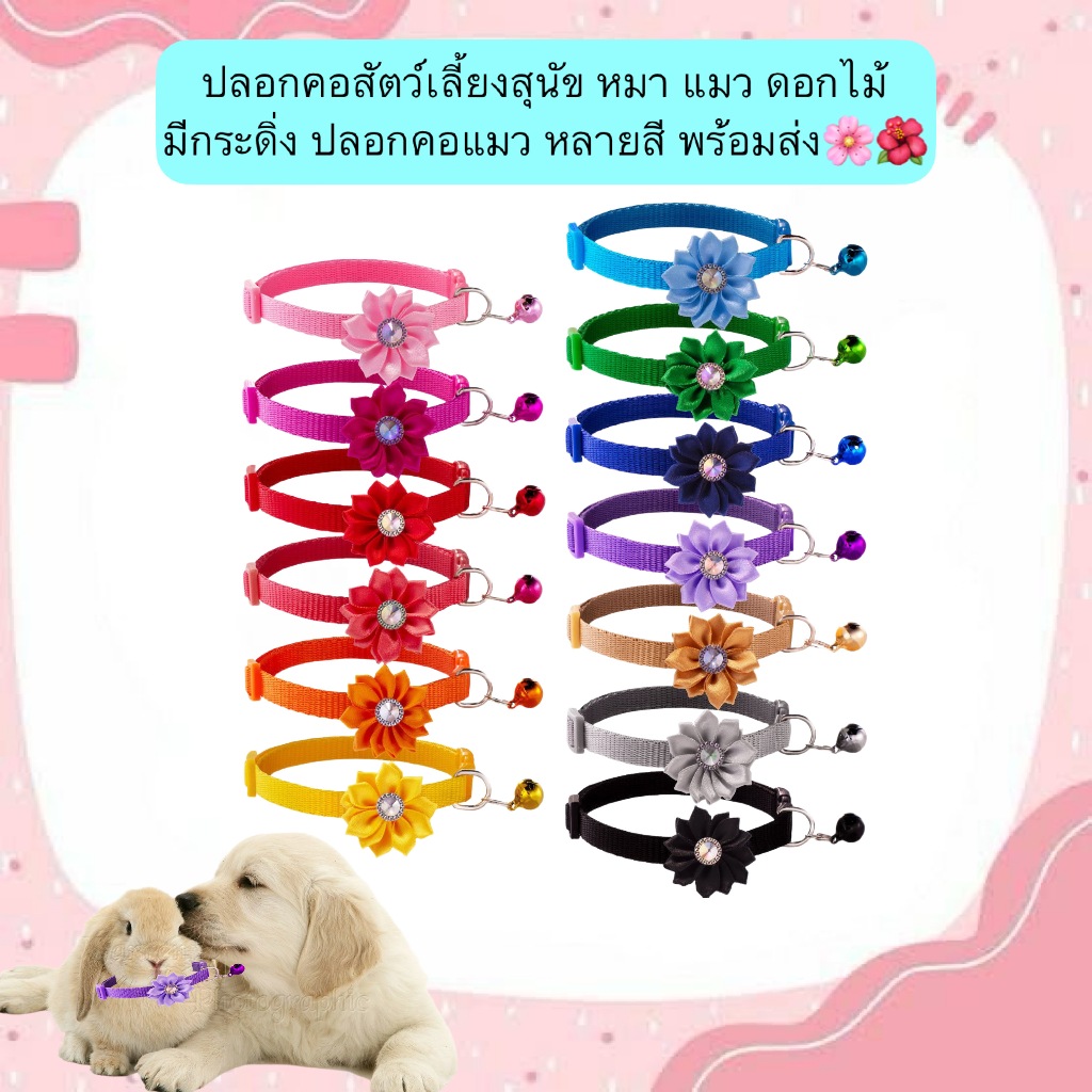 AL-560 ปลอกคอสัตว์เลี้ยงสุนัข หมา แมว ดอกไม้ มีกระดิ่ง ปลอกคอแมว หลายสี พร้อมส่ง🌸🌺